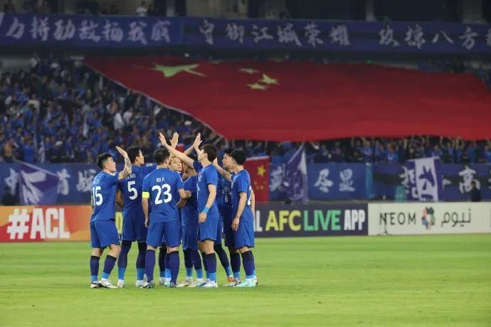 国产精品入口麻豆高清